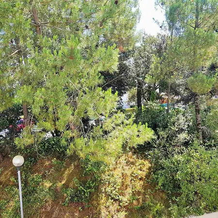 2 Pièces Avec Jardinet, Proche Et Forêt à - Fr-1-550-64 Apartamento Saint-Georges-de-Didonne